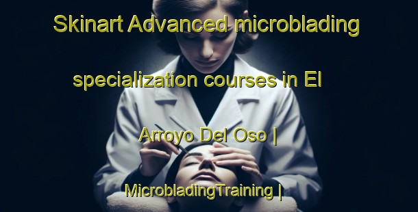 Skinart Advanced microblading specialization courses in El Arroyo Del Oso | MicrobladingTraining | MicrobladingClasses | SkinartTraining-Mexico